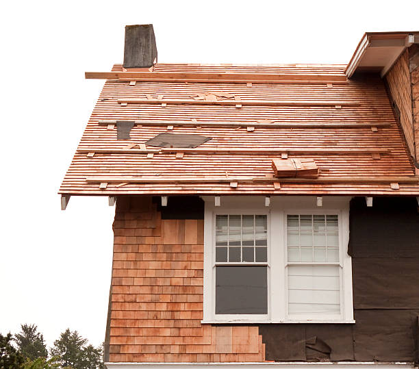 Best Vinyl Siding Installation  in Millvale, PA